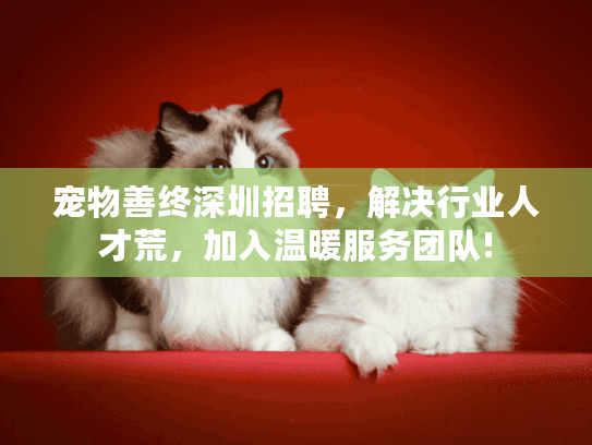 宠物善终深圳招聘,解决行业人才荒,加入温暖服务团队!