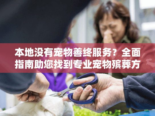 本地没有宠物善终服务？全面指南助您找到专业宠物殡葬方案！