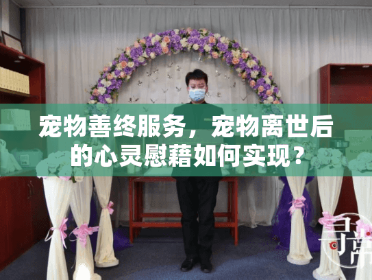 宠物善终服务，宠物离世后的心灵慰藉如何实现？