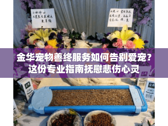 金华宠物善终服务如何告别爱宠？这份专业指南抚慰悲伤心灵