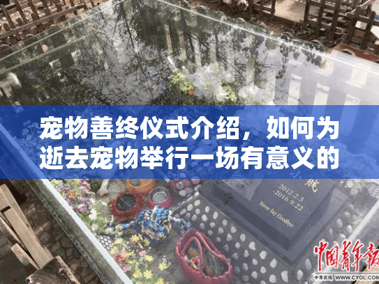 宠物善终仪式介绍，如何为逝去宠物举行一场有意义的告别？