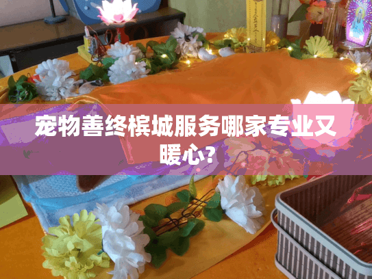 宠物善终槟城服务哪家专业又暖心?