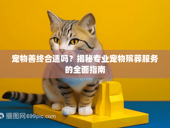 宠物善终合适吗？揭秘专业宠物殡葬服务的全面指南