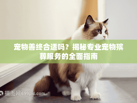 宠物善终合适吗？揭秘专业宠物殡葬服务的全面指南