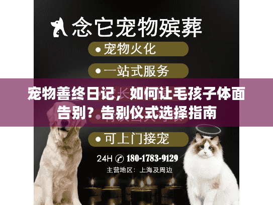 宠物善终日记，如何让毛孩子体面告别？告别仪式选择指南