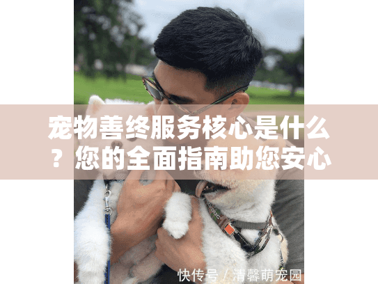 宠物善终服务核心是什么？您的全面指南助您安心告别