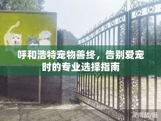 呼和浩特宠物善终，告别爱宠时的专业选择指南