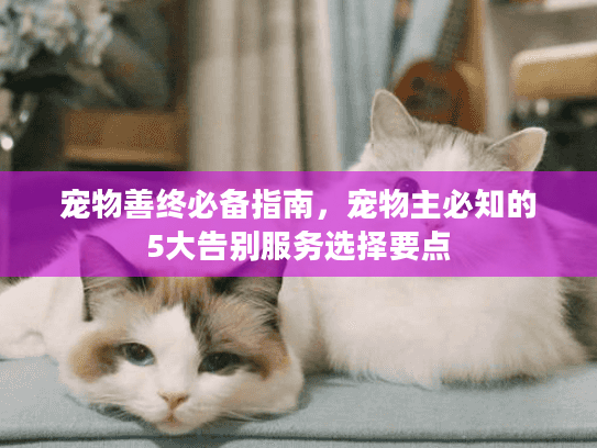宠物善终必备指南，宠物主必知的5大告别服务选择要点