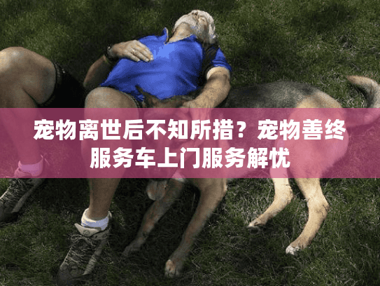 宠物离世后不知所措？宠物善终服务车上门服务解忧