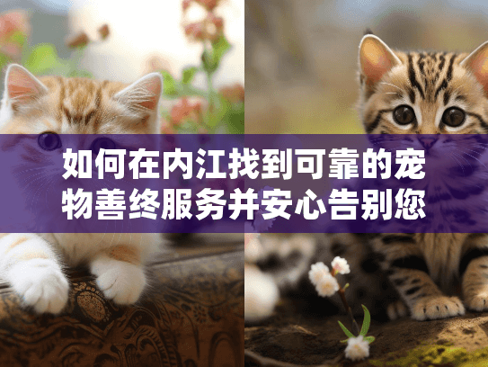 如何在内江找到可靠的宠物善终服务并安心告别您的爱宠？