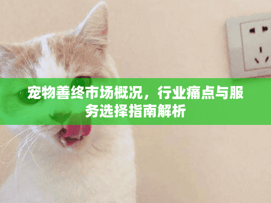 宠物善终市场概况，行业痛点与服务选择指南解析