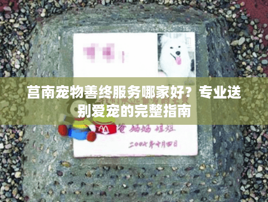 莒南宠物善终服务哪家好？专业送别爱宠的完整指南