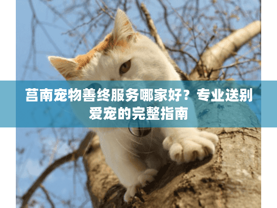 莒南宠物善终服务哪家好？专业送别爱宠的完整指南