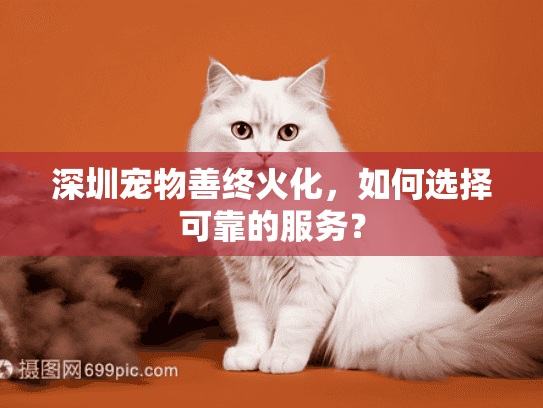 深圳宠物善终火化，如何选择可靠的服务？