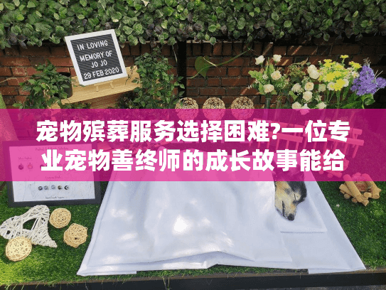 宠物殡葬服务选择困难?一位专业宠物善终师的成长故事能给你答案