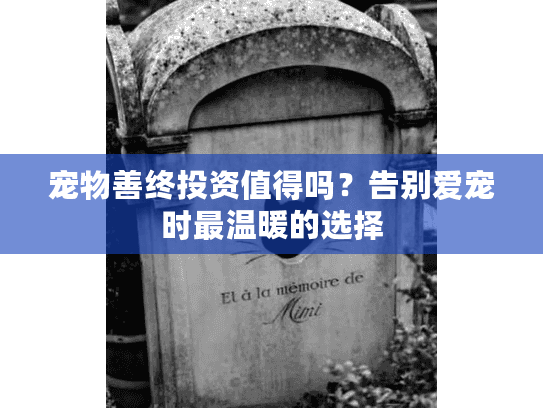 宠物善终投资值得吗？告别爱宠时最温暖的选择