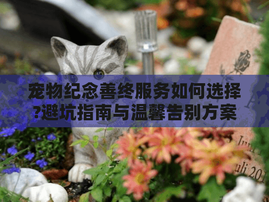 宠物纪念善终服务如何选择?避坑指南与温馨告别方案