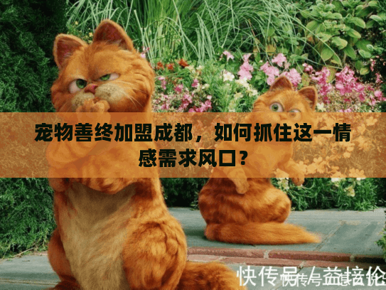 宠物善终加盟成都，如何抓住这一情感需求风口？