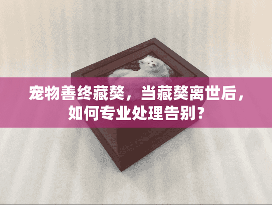 宠物善终藏獒，当藏獒离世后，如何专业处理告别？