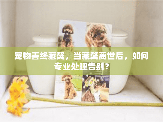 宠物善终藏獒，当藏獒离世后，如何专业处理告别？