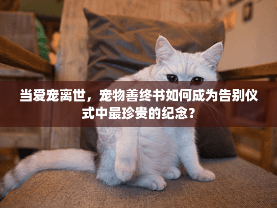 当爱宠离世，宠物善终书如何成为告别仪式中最珍贵的纪念？