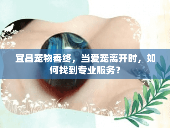 宜昌宠物善终，当爱宠离开时，如何找到专业服务？