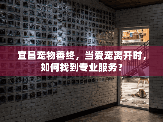 宜昌宠物善终，当爱宠离开时，如何找到专业服务？