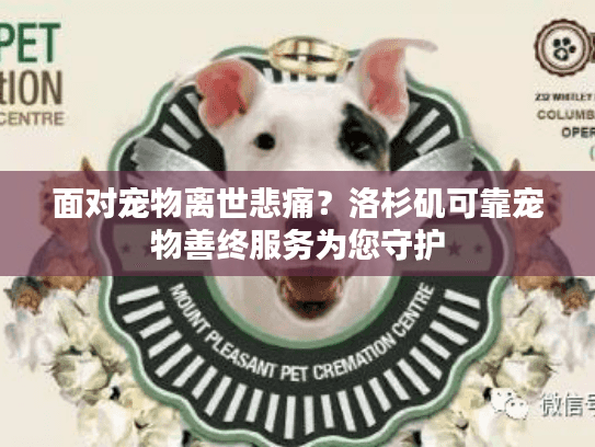 面对宠物离世悲痛？洛杉矶可靠宠物善终服务为您守护