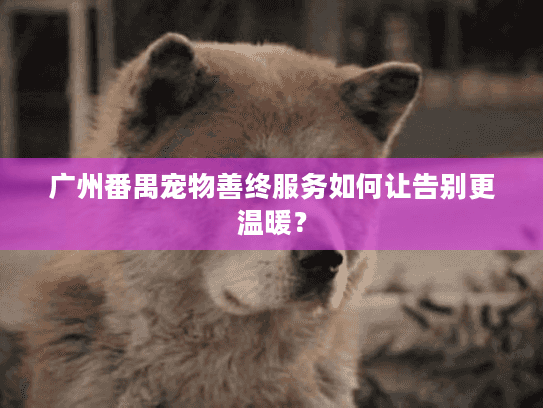 广州番禺宠物善终服务如何让告别更温暖？