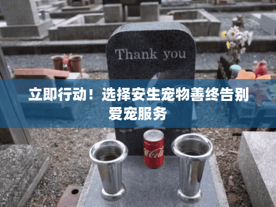 立即行动！选择安生宠物善终告别爱宠服务