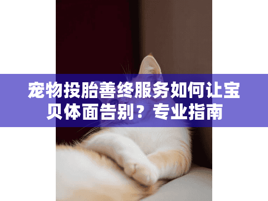 宠物投胎善终服务如何让宝贝体面告别？专业指南