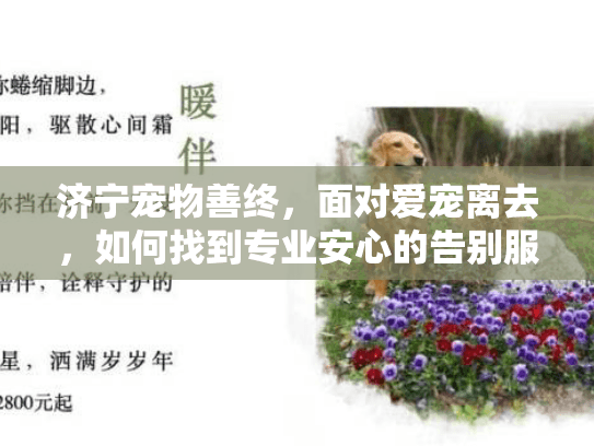 济宁宠物善终，面对爱宠离去，如何找到专业安心的告别服务？