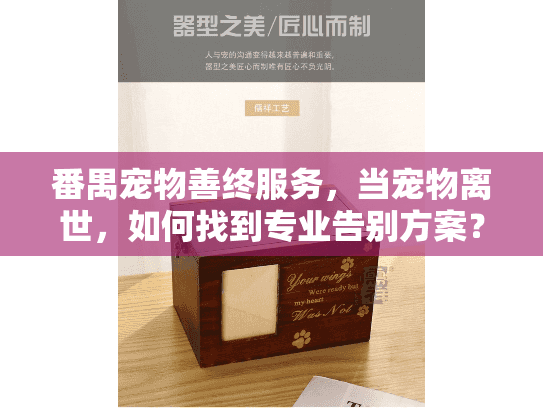 番禺宠物善终服务，当宠物离世，如何找到专业告别方案？