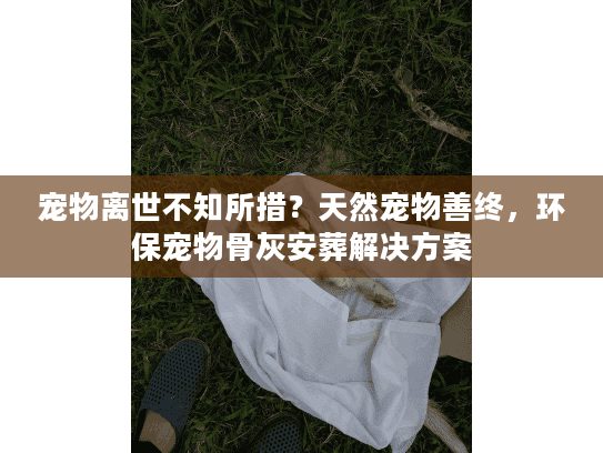 宠物离世不知所措？天然宠物善终，环保宠物骨灰安葬解决方案