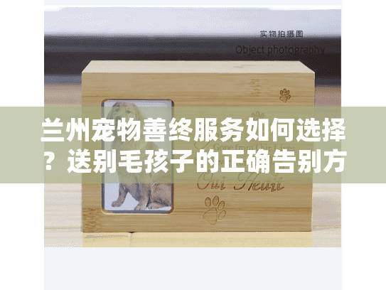 兰州宠物善终服务如何选择？送别毛孩子的正确告别方式