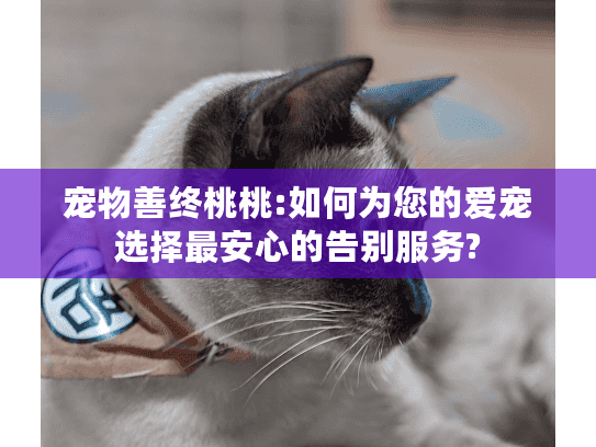 宠物善终桃桃:如何为您的爱宠选择最安心的告别服务?