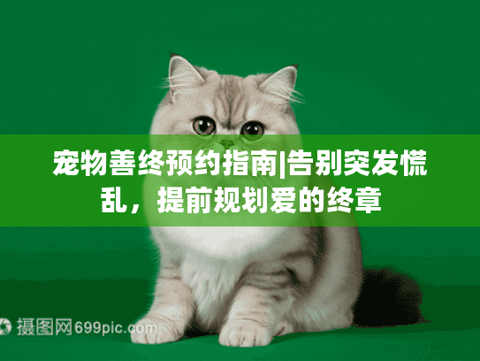 宠物善终预约指南|告别突发慌乱，提前规划爱的终章