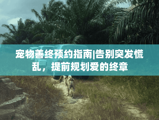 宠物善终预约指南|告别突发慌乱，提前规划爱的终章