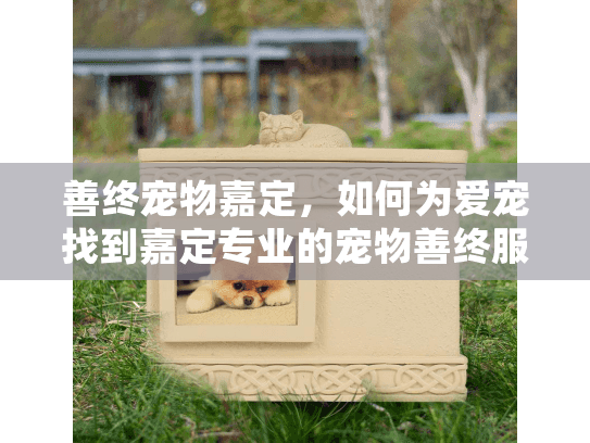 善终宠物嘉定，如何为爱宠找到嘉定专业的宠物善终服务？