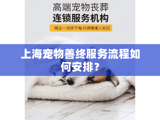 上海宠物善终服务流程如何安排？