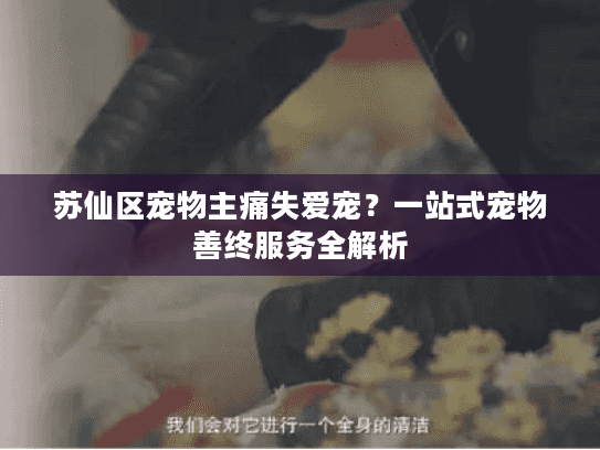 苏仙区宠物主痛失爱宠？一站式宠物善终服务全解析