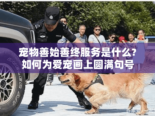 宠物善始善终服务是什么?如何为爱宠画上圆满句号