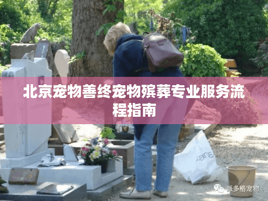 北京宠物善终宠物殡葬专业服务流程指南