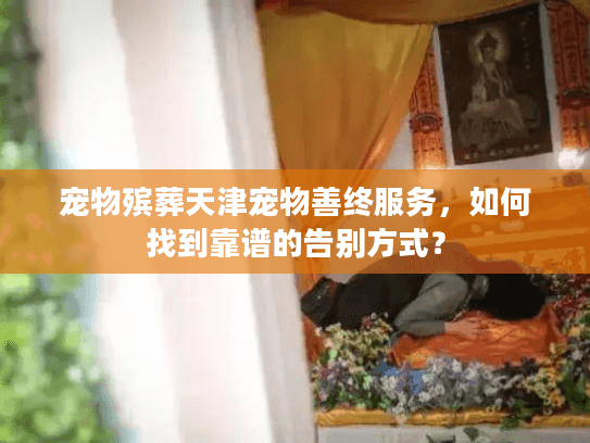 宠物殡葬天津宠物善终服务，如何找到靠谱的告别方式？