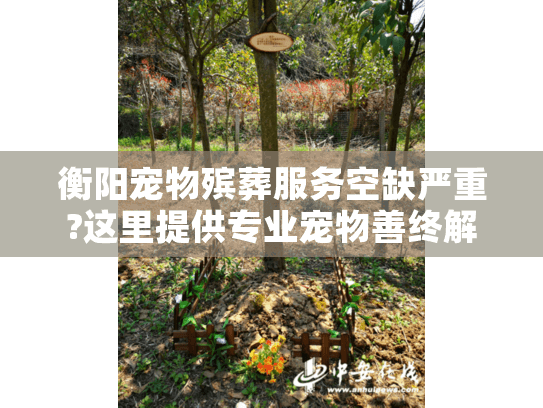 衡阳宠物殡葬服务空缺严重?这里提供专业宠物善终解决方案