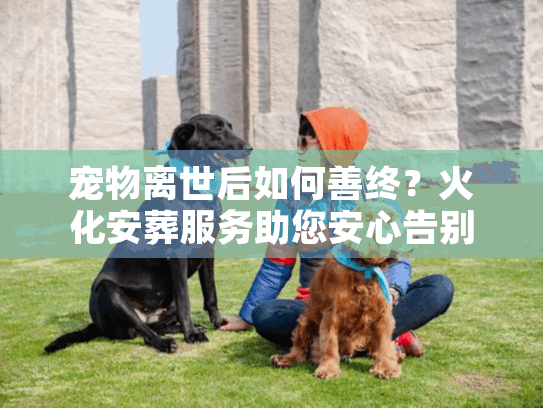宠物离世后如何善终?火化安葬服务助您安心告别