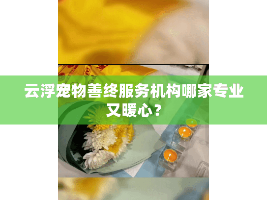 云浮宠物善终服务机构哪家专业又暖心？