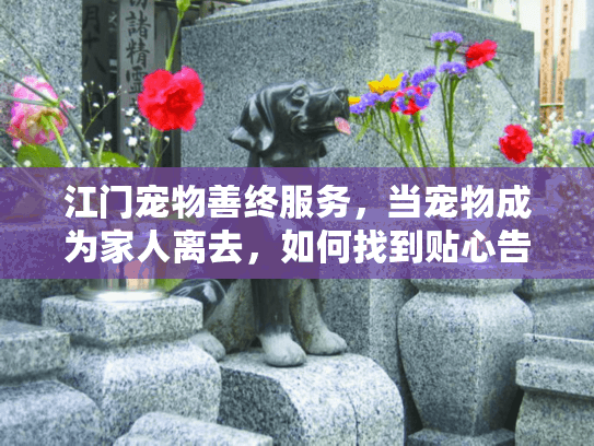 江门宠物善终服务，当宠物成为家人离去，如何找到贴心告别方案？