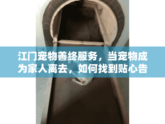 江门宠物善终服务，当宠物成为家人离去，如何找到贴心告别方案？