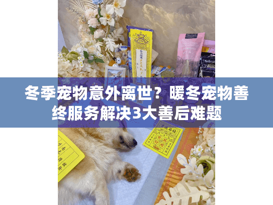 冬季宠物意外离世？暖冬宠物善终服务解决3大善后难题
